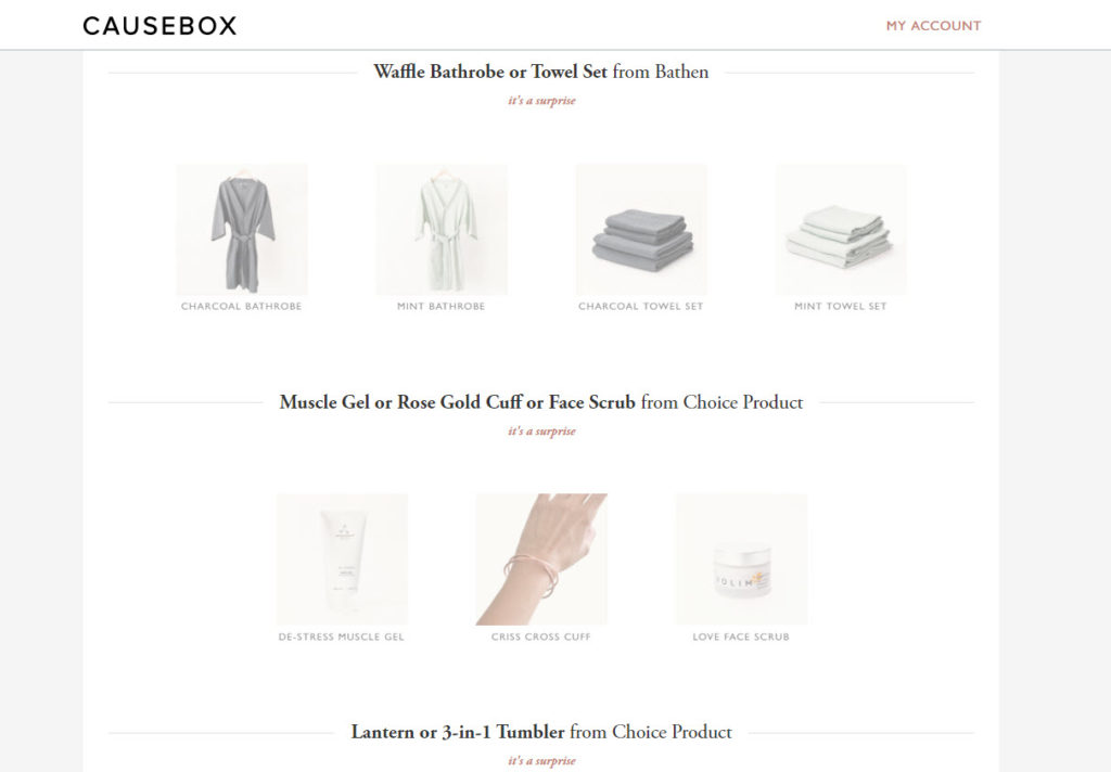 causebox customization overview - Subscription Box Expert