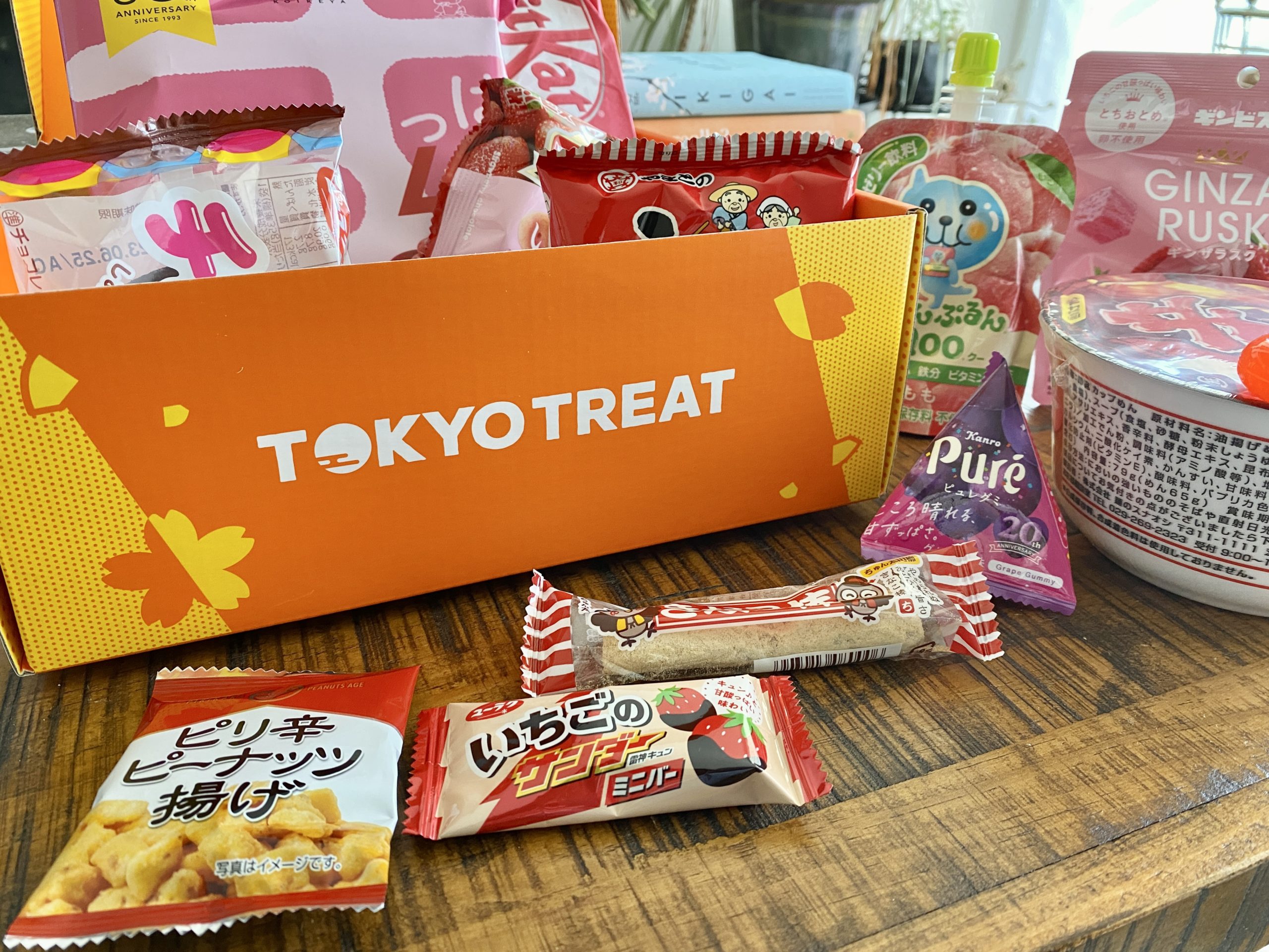 Tokyo Treat Review: Japanese Subscription Box